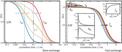 Supramolecular association studied by Fluorescence correlation spectroscopy